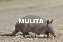 MULITA