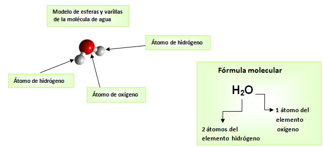 Formula Molecular